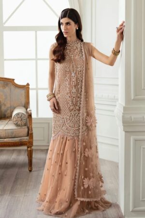 Crimson X Saira Shakira Star Dust