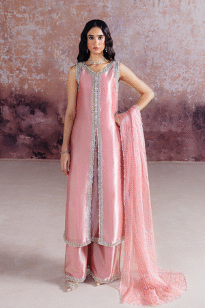 SRA Luxury Weddind Festive Organza Embroidered